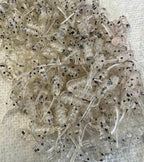 CRAPPIE MIDGET SHAD (60)